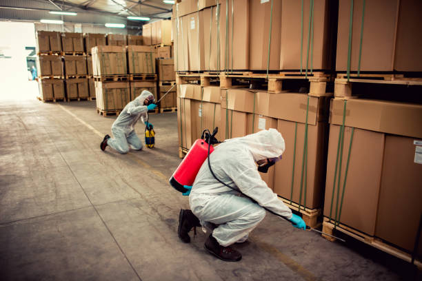 Best Wasp Removal Services  in Smithsburg, MD