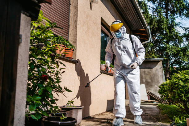 Best Pest Control Near Me in Smithsburg, MD