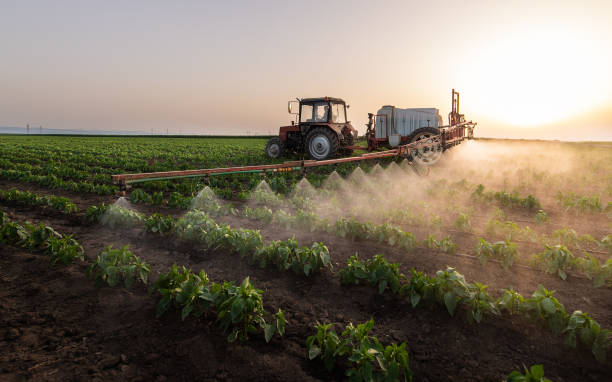 Best Pest Prevention Services  in Smithsburg, MD