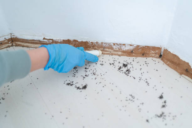 Best Affordable Pest Control Services  in Smithsburg, MD
