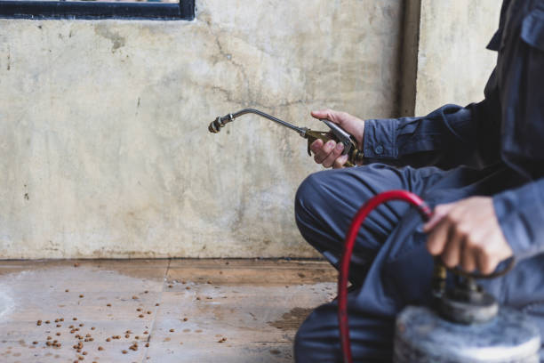 Best Local Pest Control Services  in Smithsburg, MD